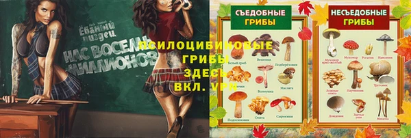 jwh Абаза